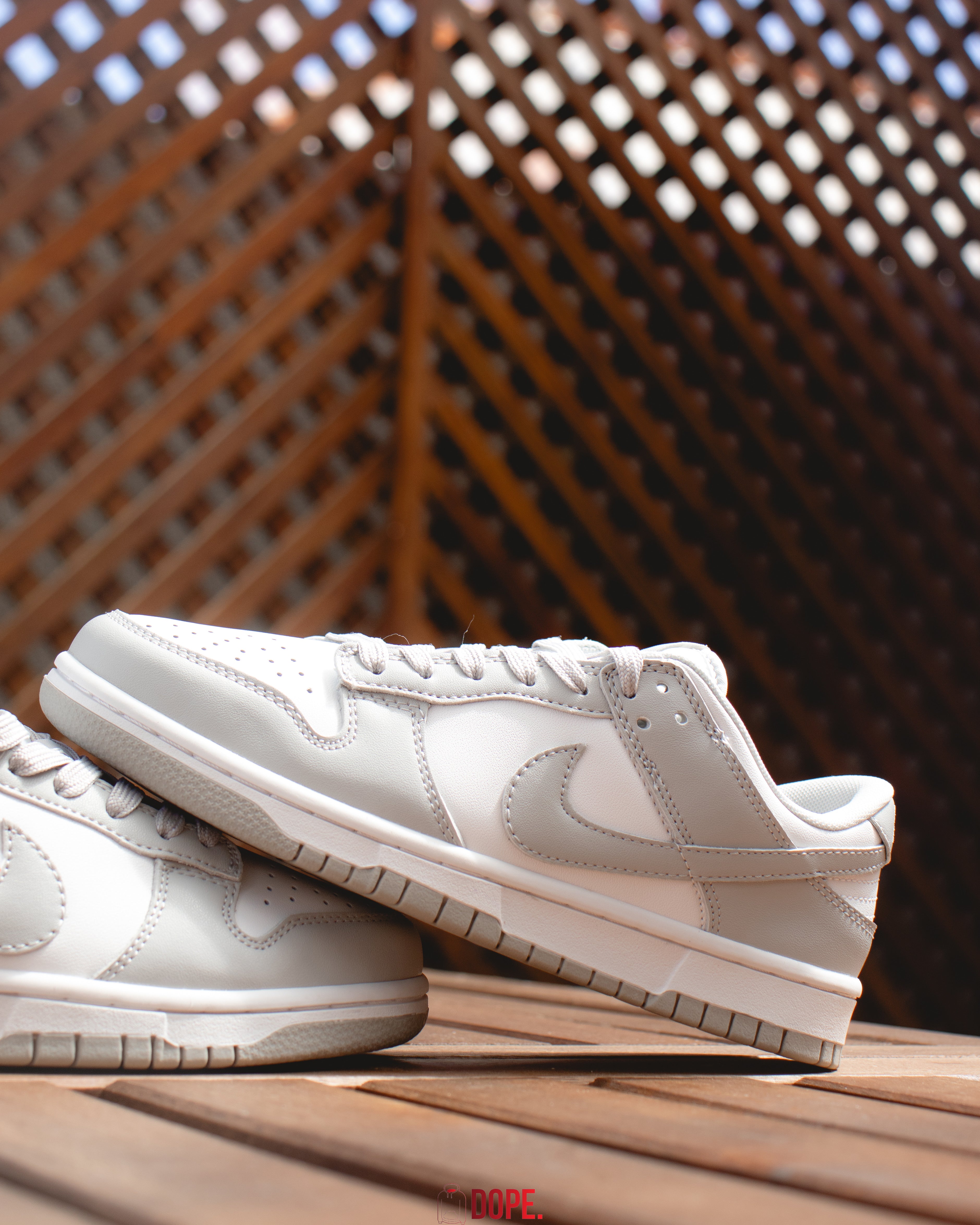 Nike Dunk Photon Dust