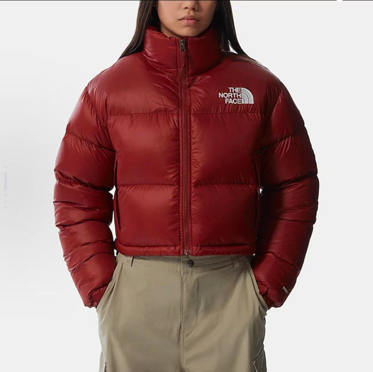 The North Face Women Winter Jacket
