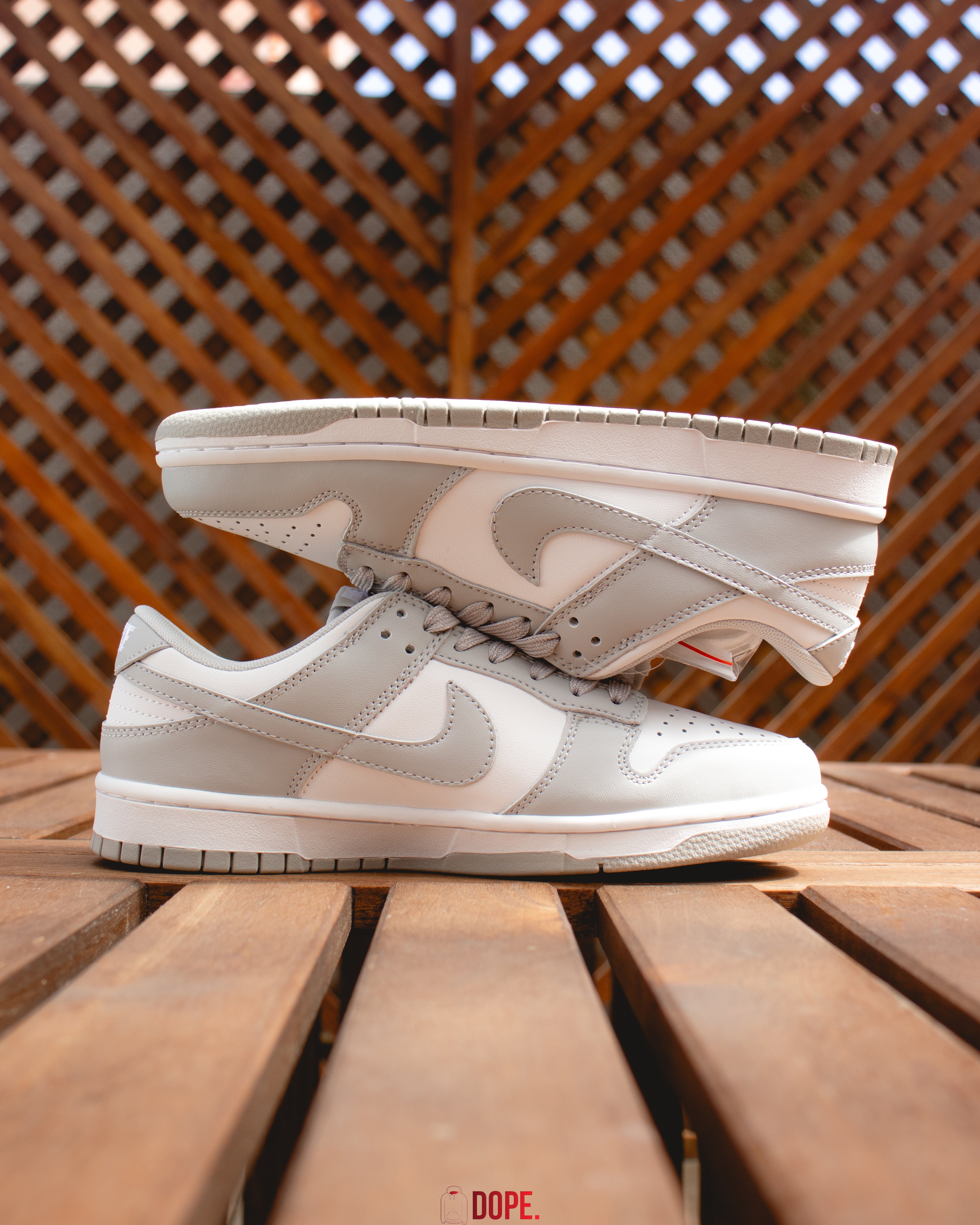 Nike Dunk Photon Dust