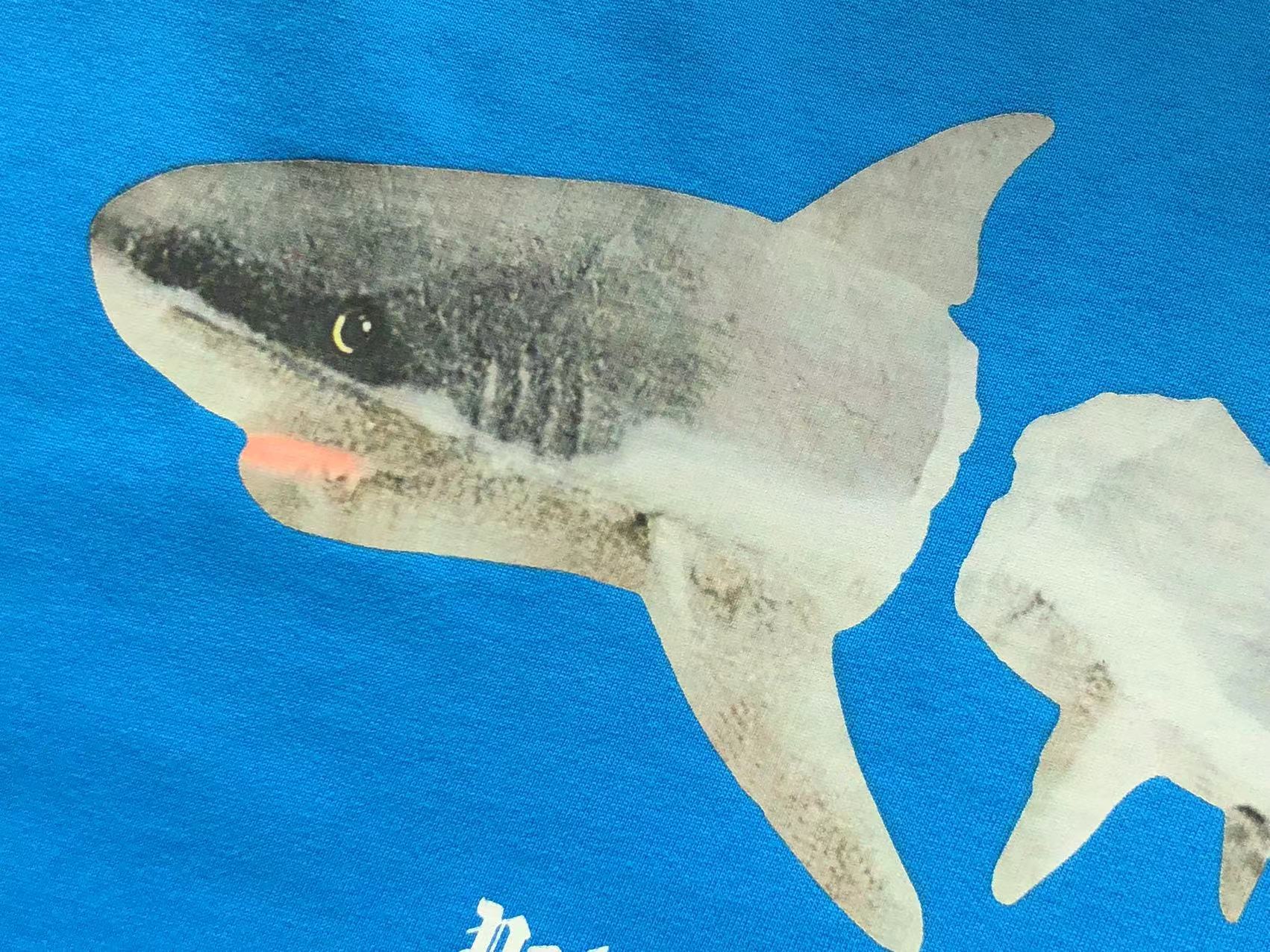 T-Shirt Palm Angels Crocodile