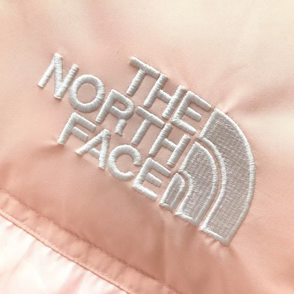 The North Face Winter Jacket