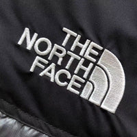 The North Face Winter Jacket