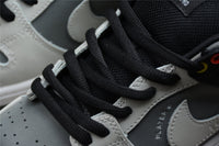 Nike Dunk SB VX1000