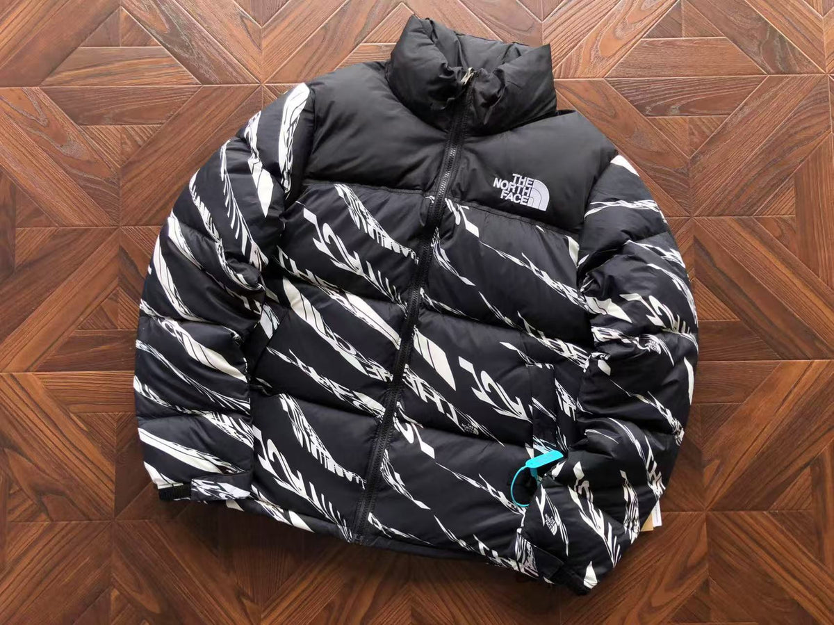 The North Face Winter Jacket