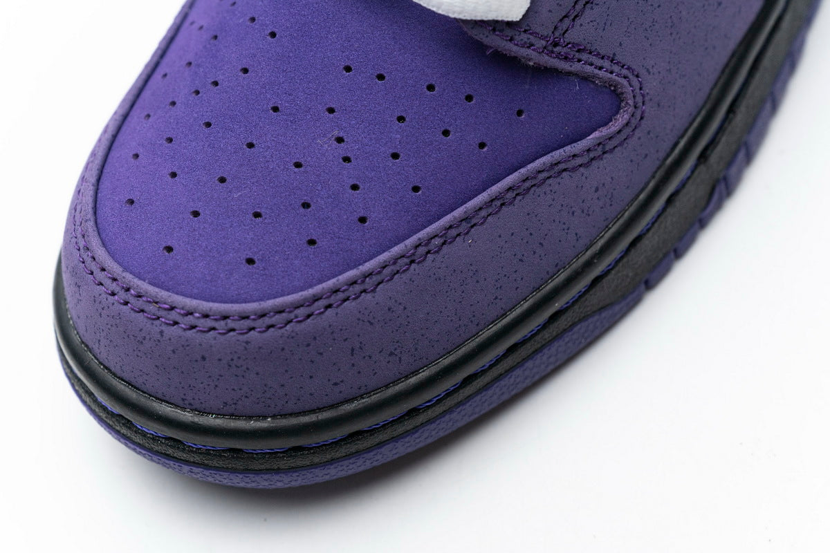 Nike Dunk SB Concepts Purple Lobster