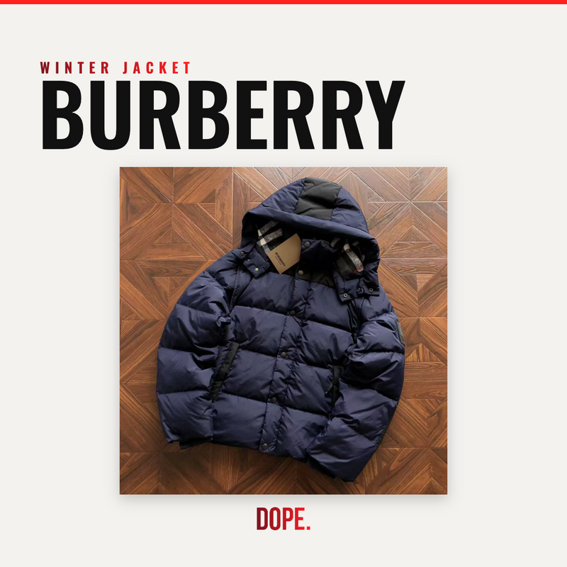 Burberry (Winter Jacket)