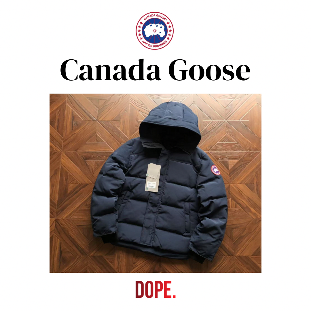 Canada Goose (Winter Jacket)