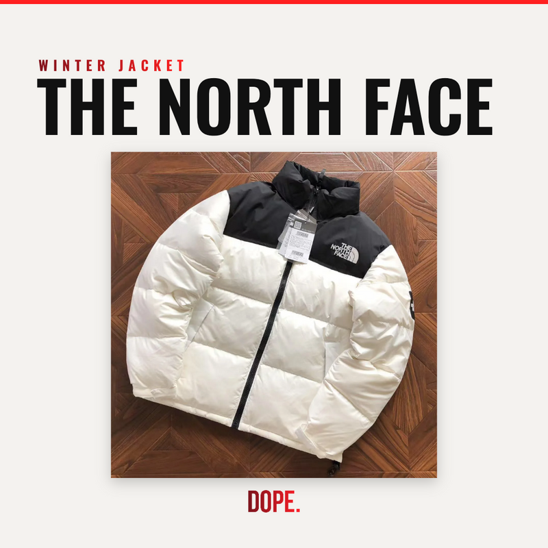 The North Face (Winter Jacket)