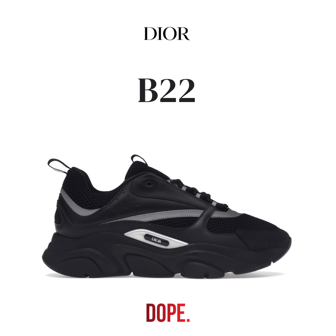 Dior B22 (Exclusive Sneakers)