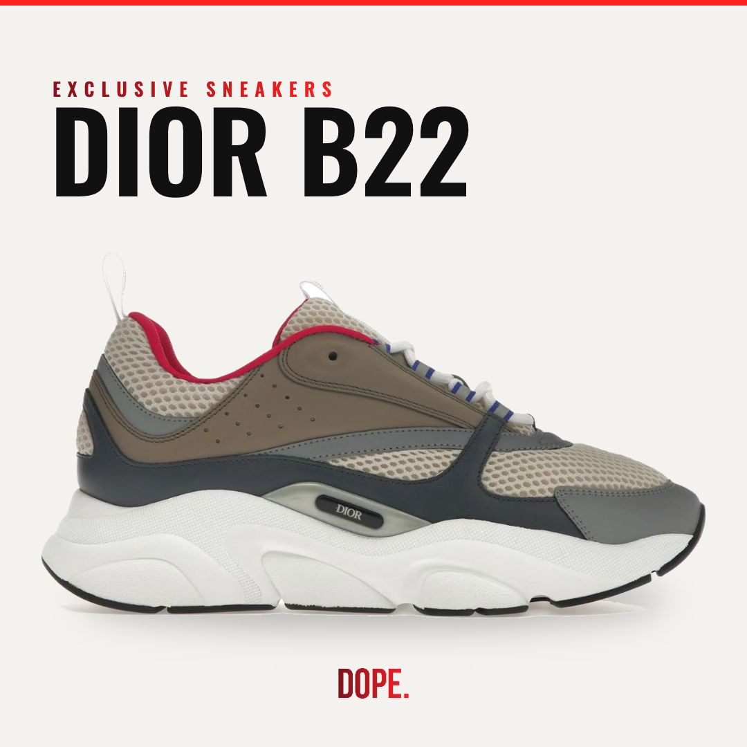 Dior B22 (Exclusive Sneakers)