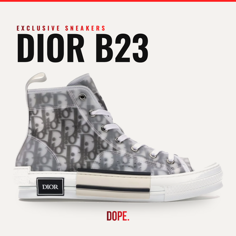 Dior B23 (Exclusive Sneakers)