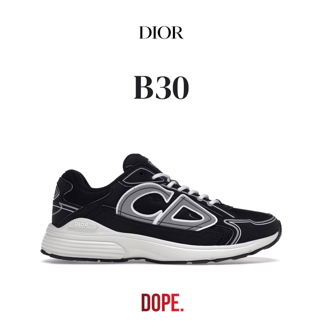 Dior B30 (Exclusive Sneakers)