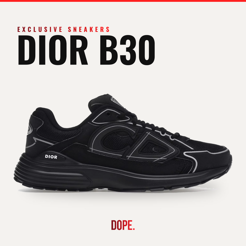 Dior B30 (Exclusive Sneakers)
