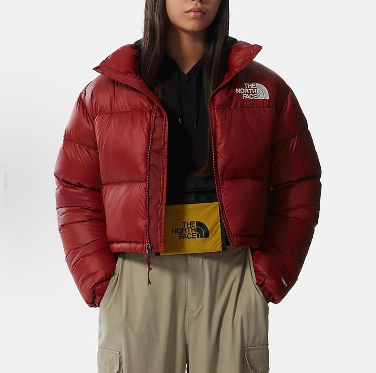 The North Face Women Winter Jacket
