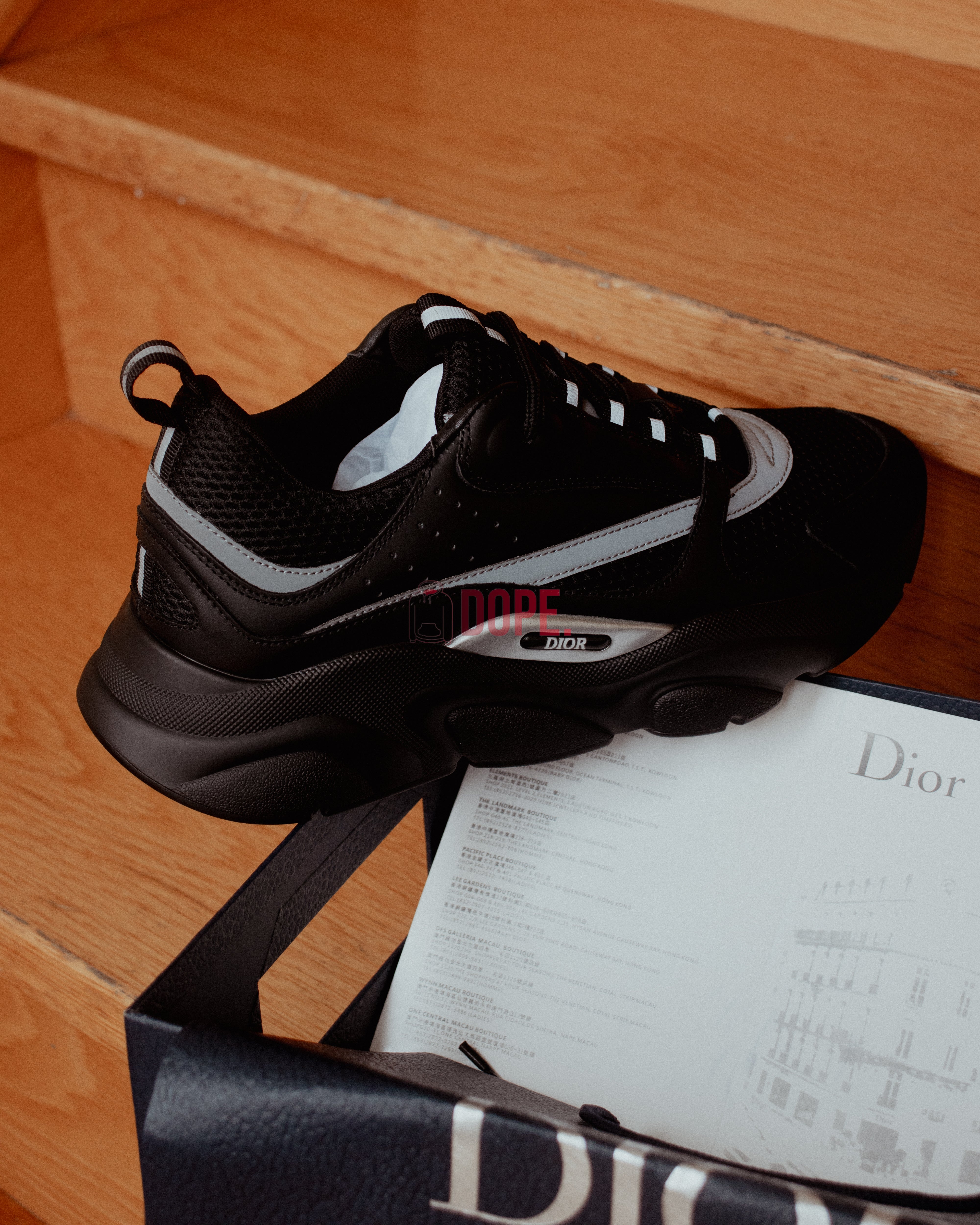 Dior B22 Black Silver