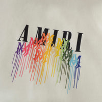 Amiri Hoodie