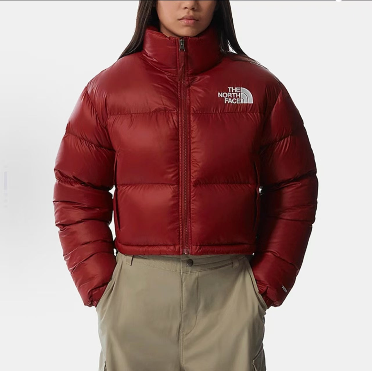 The North Face Women Winter Jacket