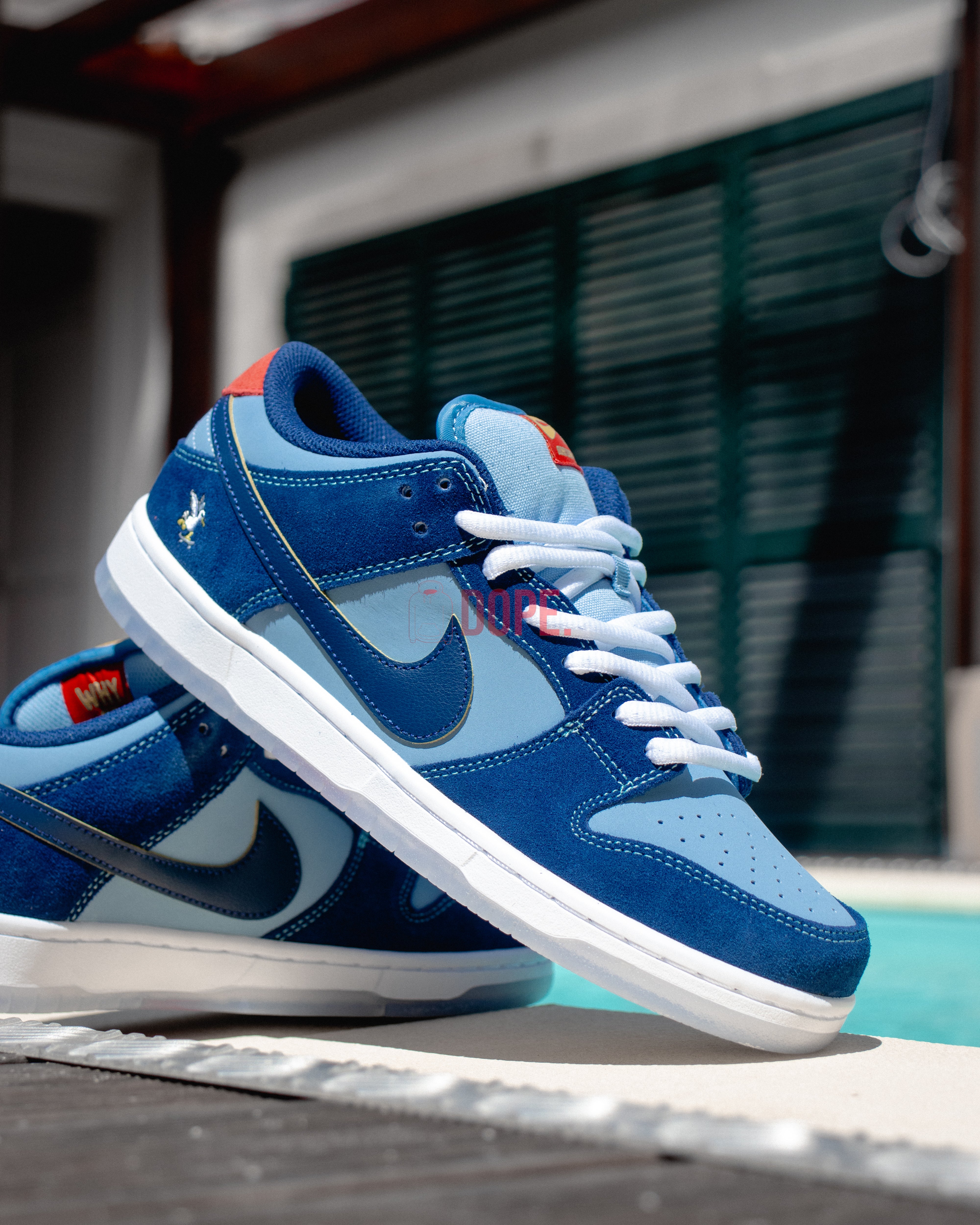 Nike Dunk SB Why So Sad?