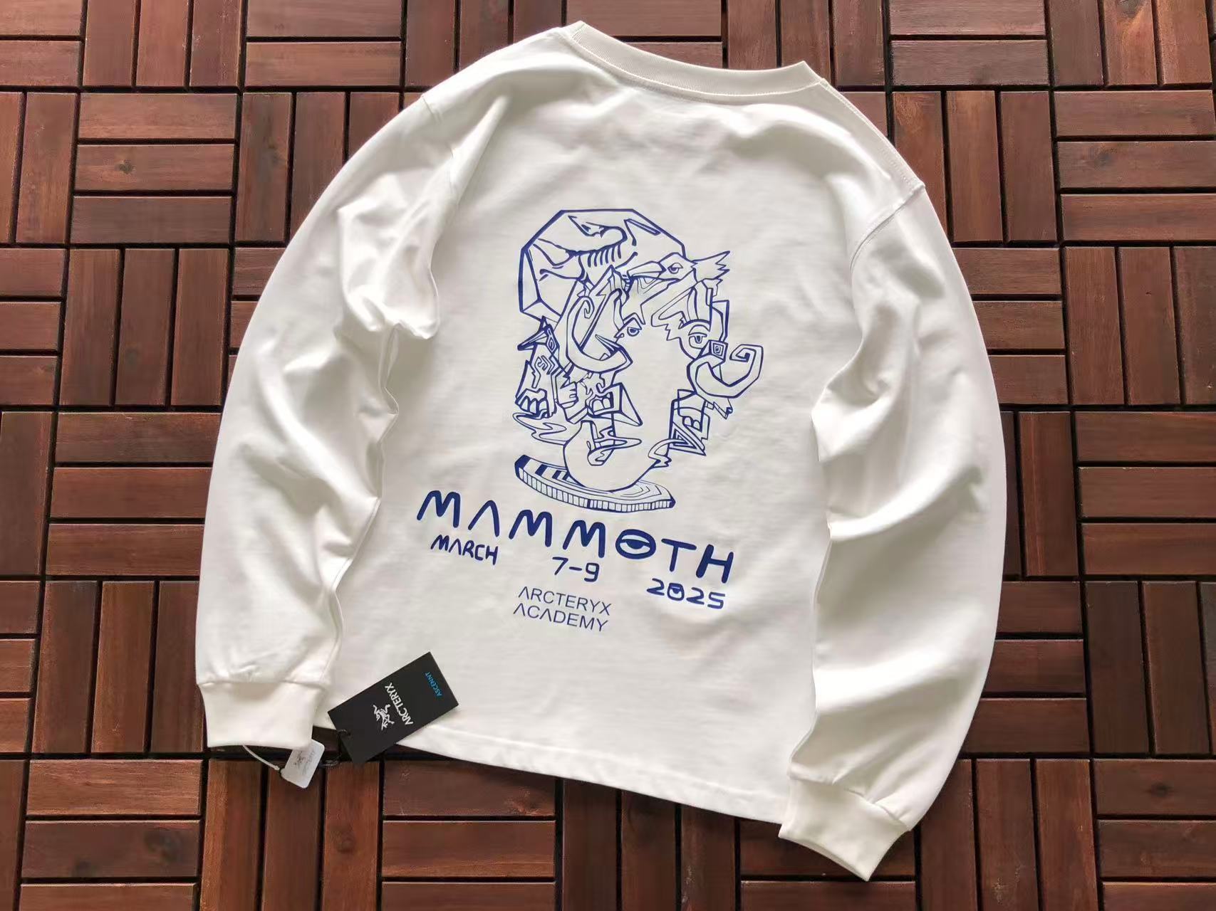Arc'teryx Sweat