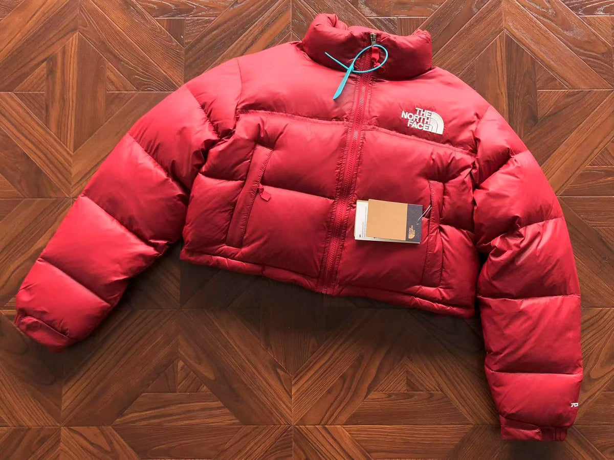 The North Face Women Winter Jacket