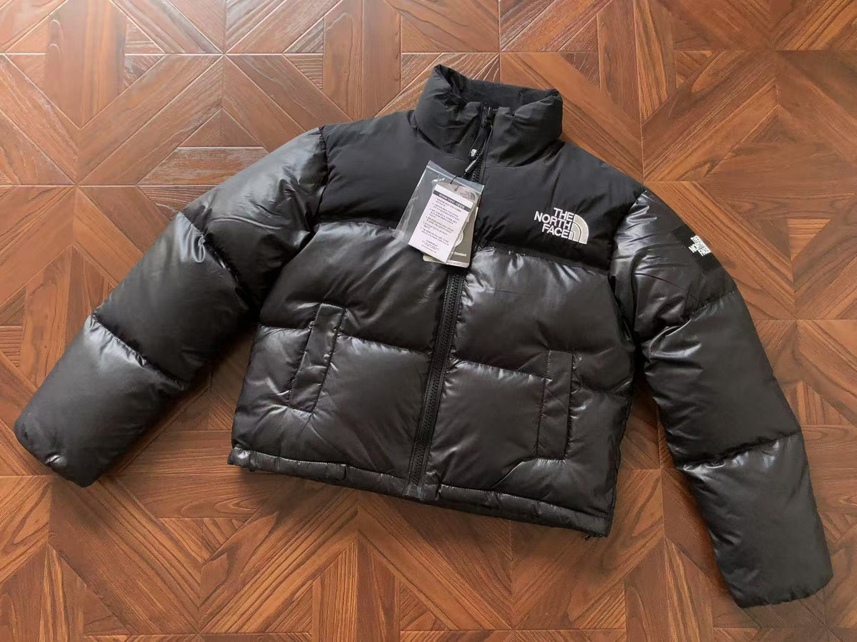 The North Face Women Winter Jacket