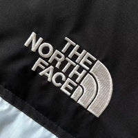 The North Face Winter Jacket
