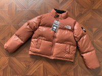 The North Face Women Winter Jacket