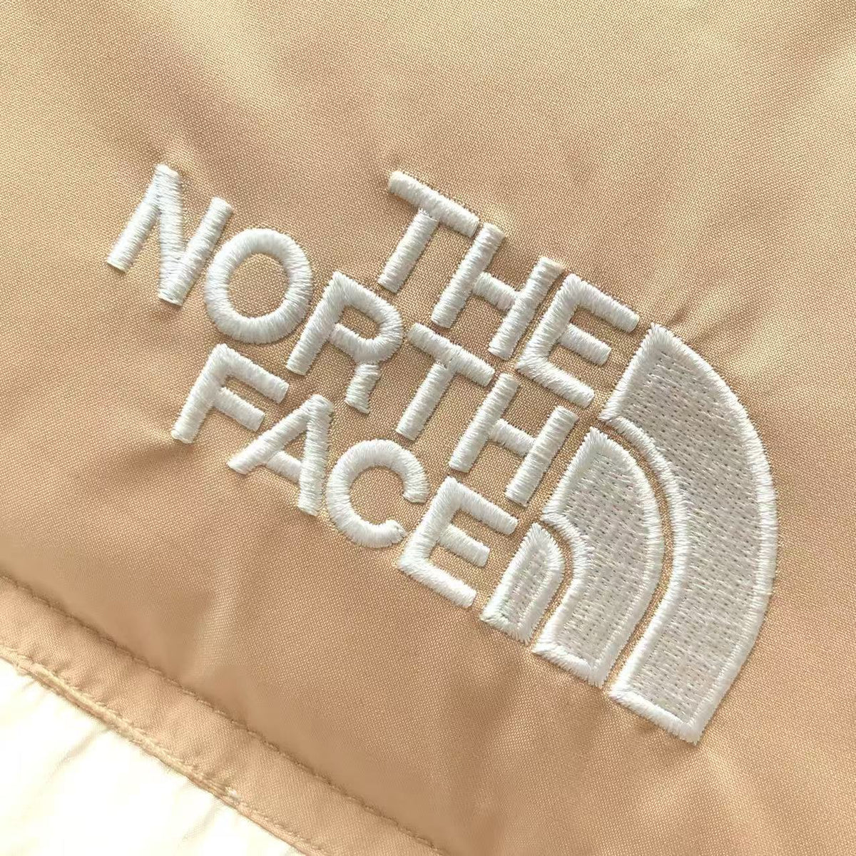 The North Face Winter Jacket