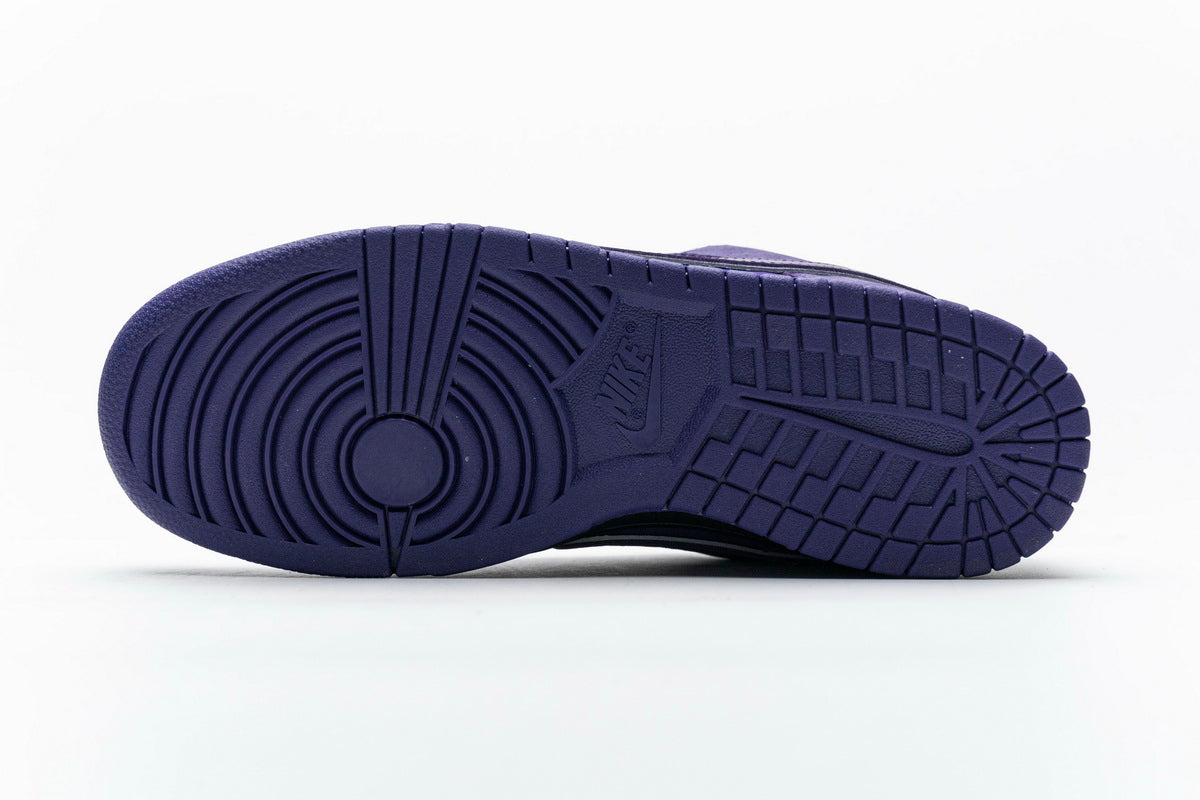 Nike Dunk SB Concepts Purple Lobster