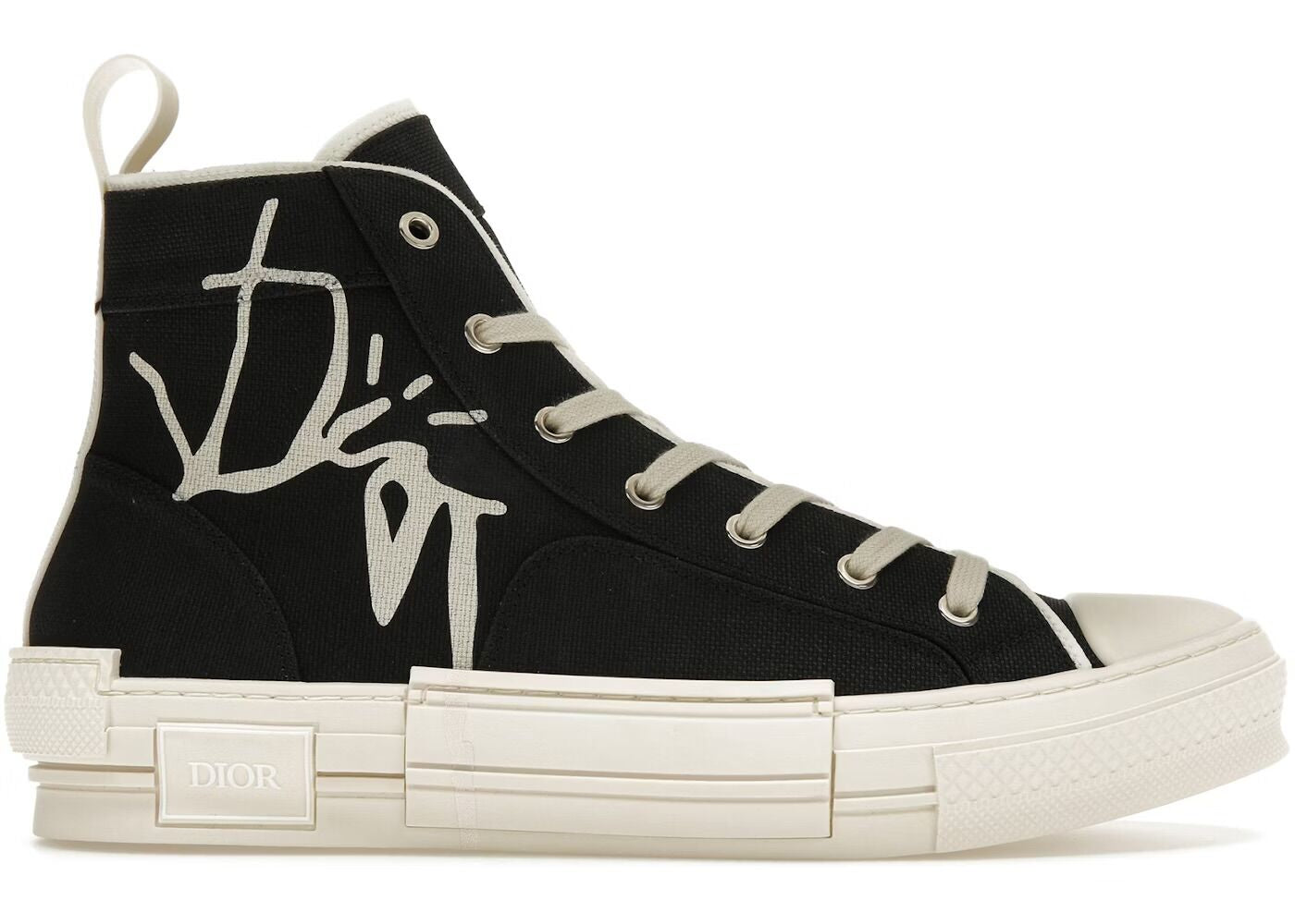 Dior B23 CACTUS JACK