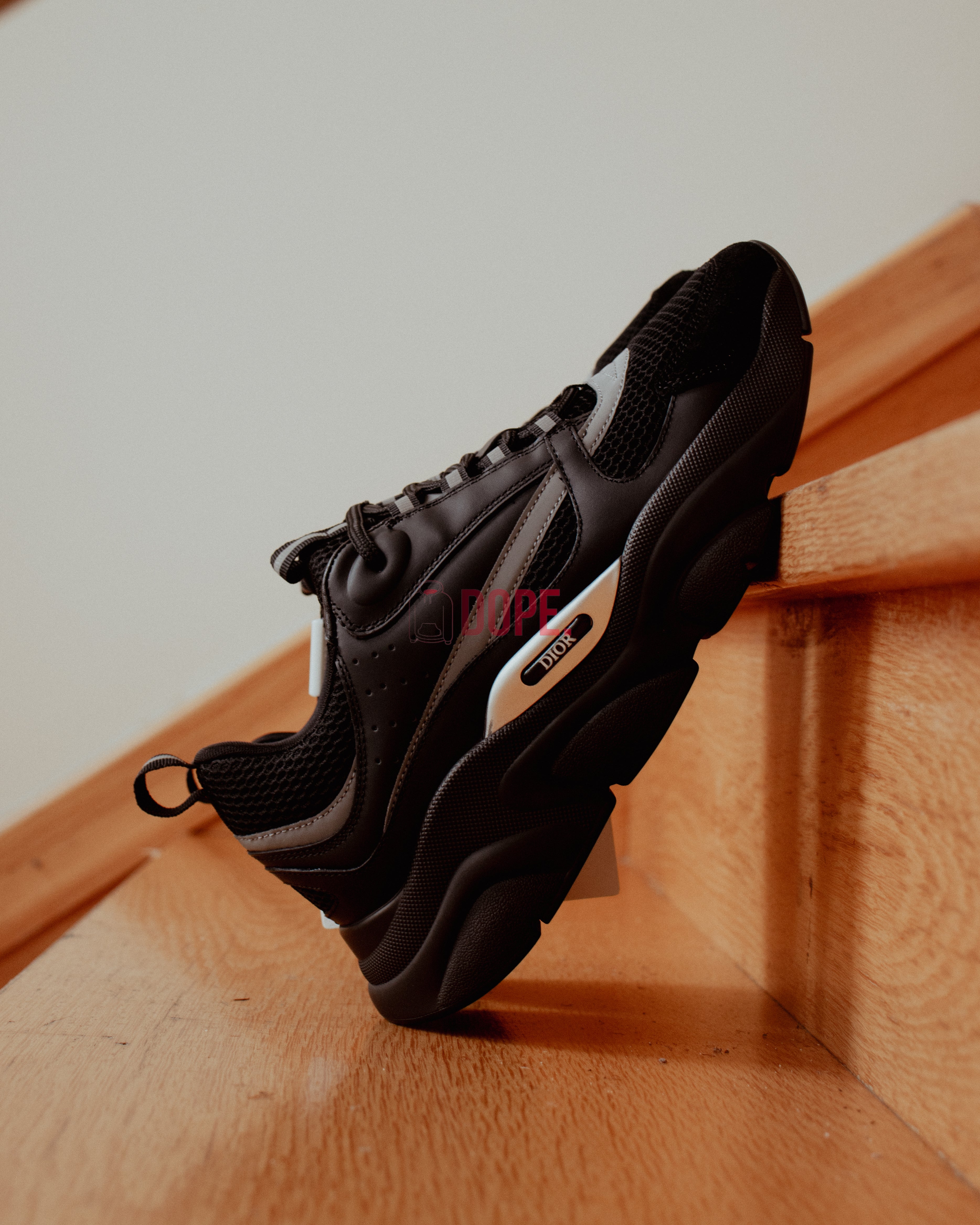 Dior B22 Black Silver