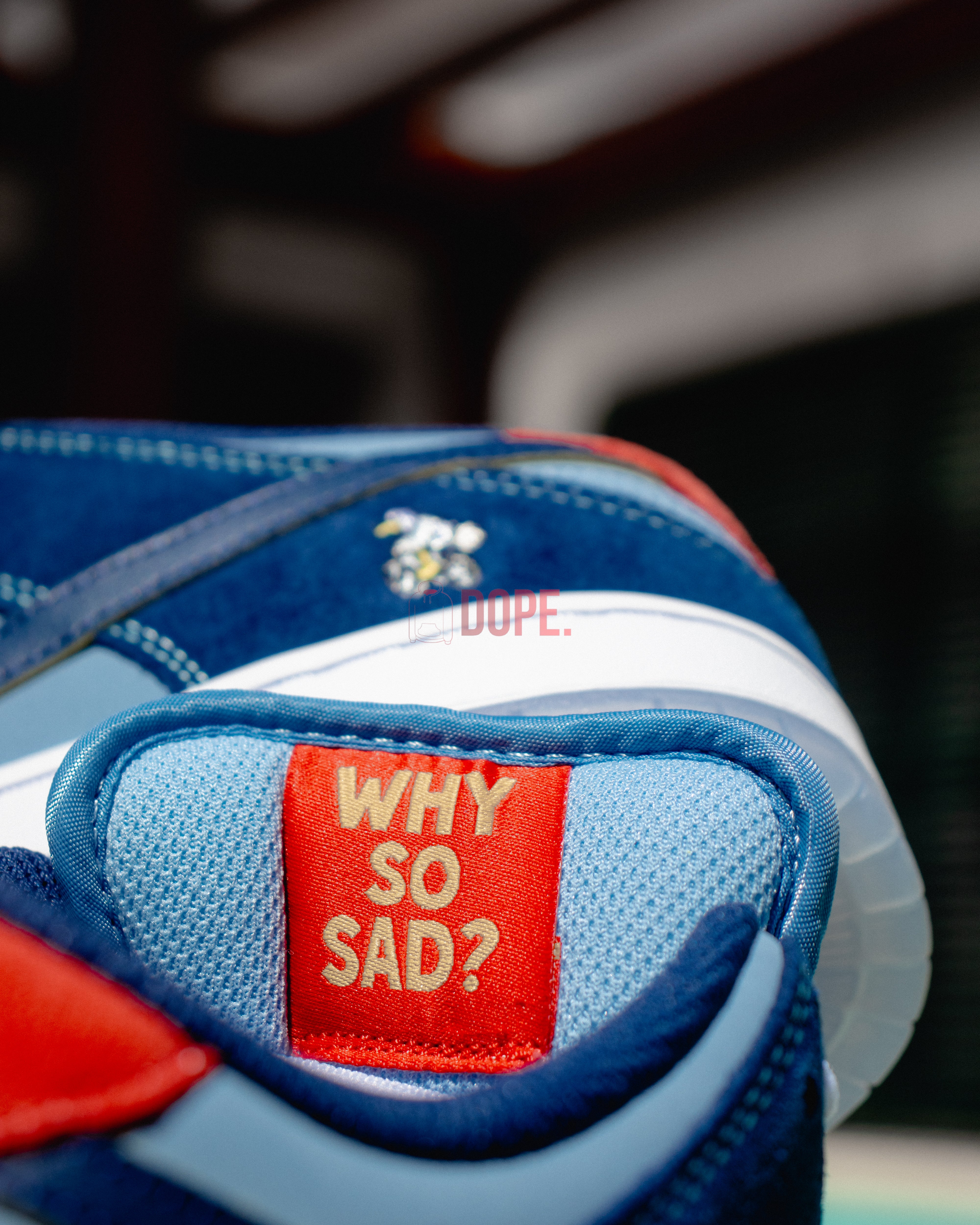 Nike Dunk SB Why So Sad?