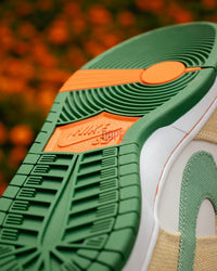Nike Dunk SB Jarritos