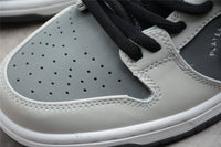 Nike Dunk SB VX1000