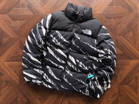 The North Face Winter Jacket