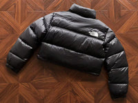 The North Face Women Winter Jacket